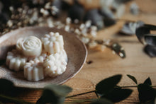 Load image into Gallery viewer, Keep Off the Grass - Botanical Wax Melts
