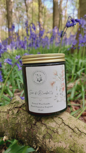 Bluebell scented candle in bluebell woodland